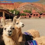 Salta Travel